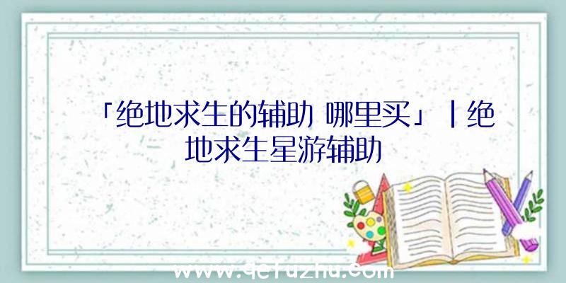 「绝地求生的辅助